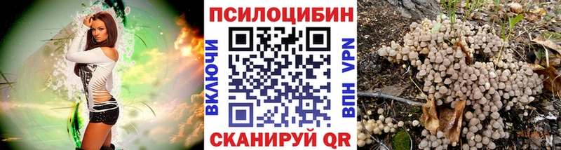 Галлюциногенные грибы ЛСД  магазин продажи   Вольск 