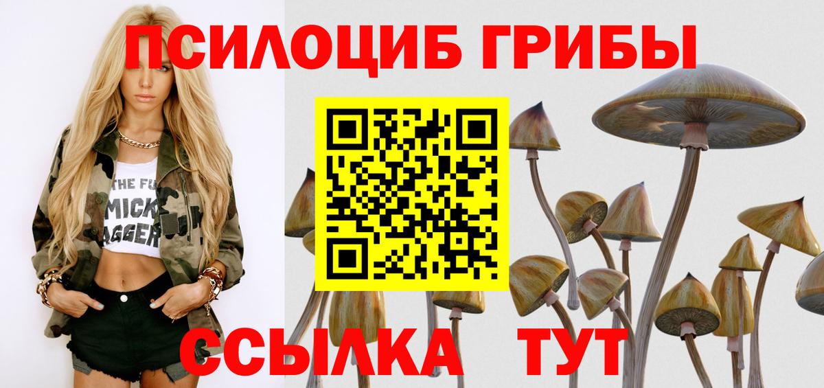 Вольск  Галлюциногенные грибы Cubensis  Вход с VPN 