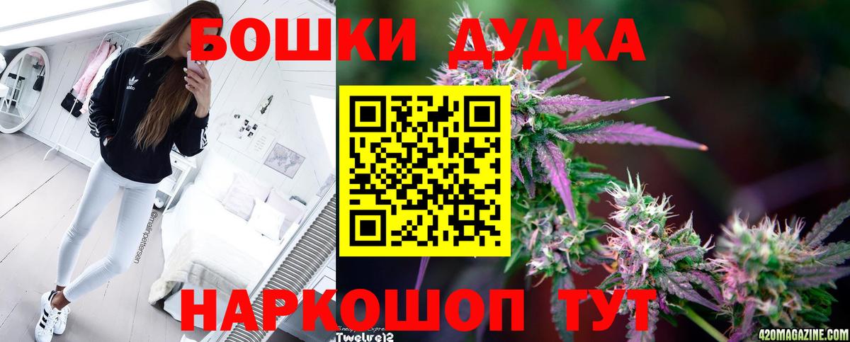 Вольск  Конопля OG Kush  Канабис сатива  Вход с VPN  МАРИХУАНА планчик 